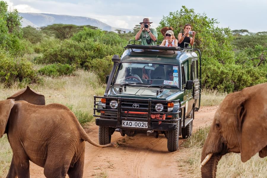 Classic Kenya Safari and Trip to Mombasa
