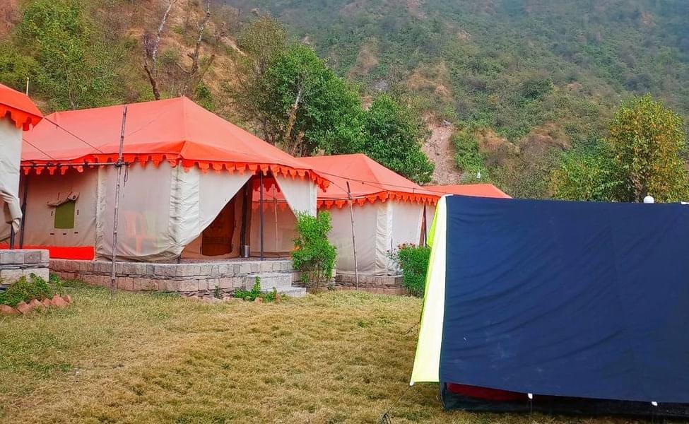 Camping in Dharamshala ( Upto 40% Off)