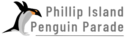 Phillip Island Penguin Parade | Experience The Alluring View