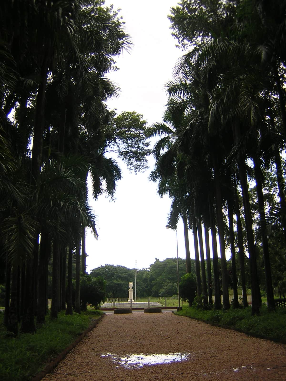 Acharya Jagadish Chandra Bose Indian Botanic Garden, <em>Kolkata</em>