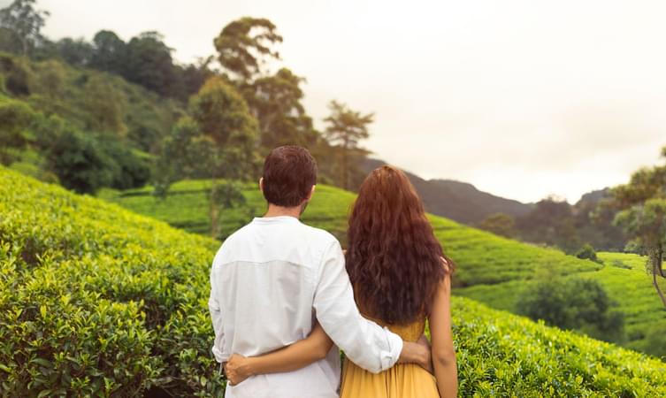 Munnar Tea Plantation admired by young couple