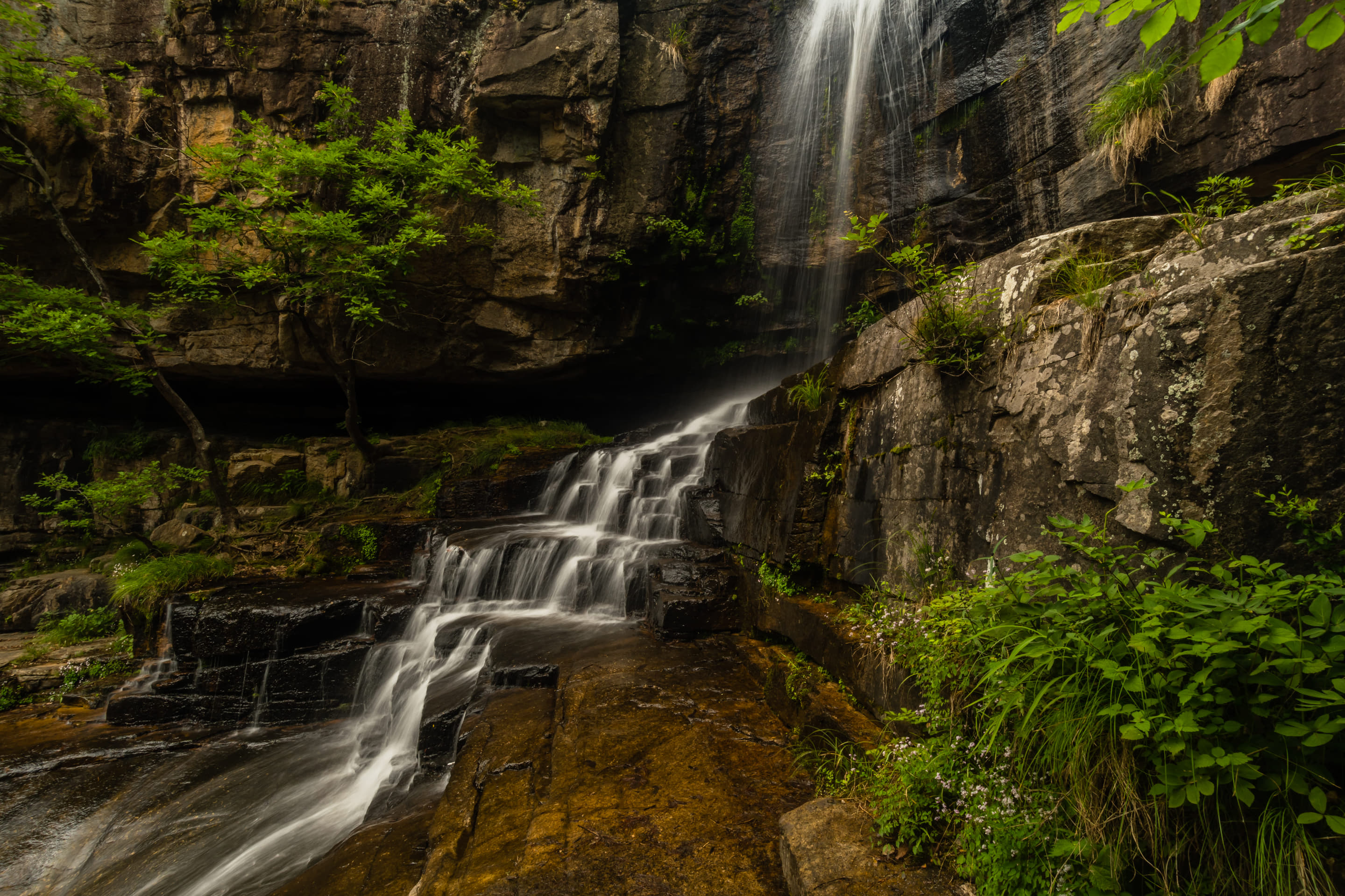 North East India Holiday Packages from Vijayawada