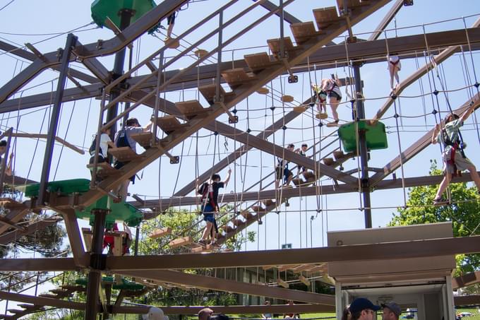 Gorilla Climb Ropes at Toronto Zoo