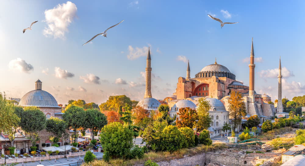 Glimpses Of Turkey With Free Bosphorus Cruise Tour Image