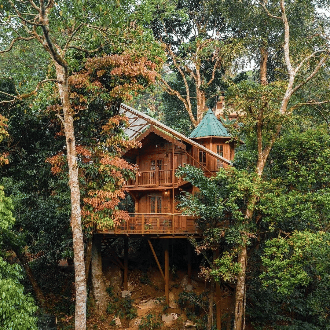 A Treehouse Amidst The Valley Of Coorg