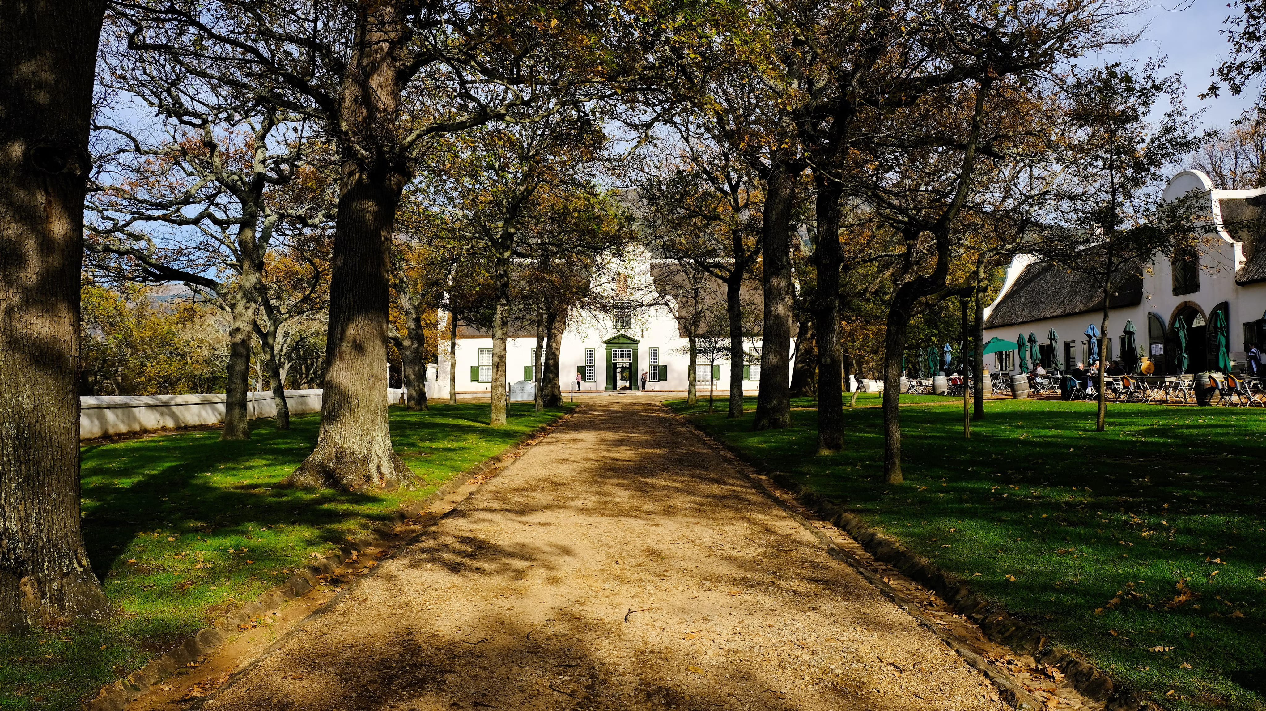 Visit the majestic Groot Constantia Wine Estate