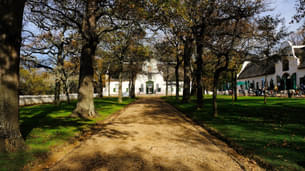 Groot Constantia Wine Estate Tour