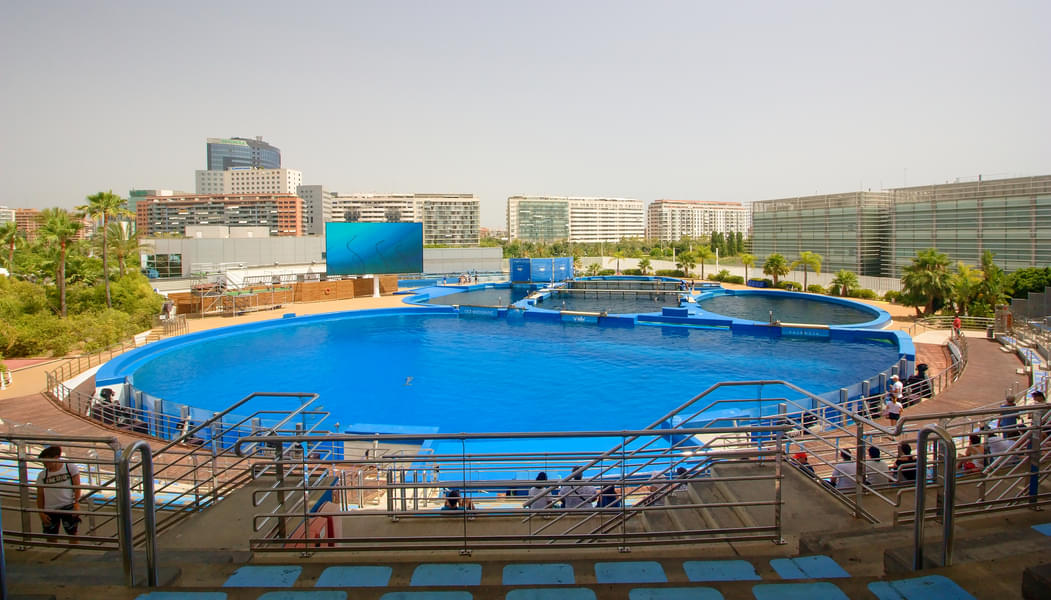 Spend a fun-family day here at the amazing L'oceanografic