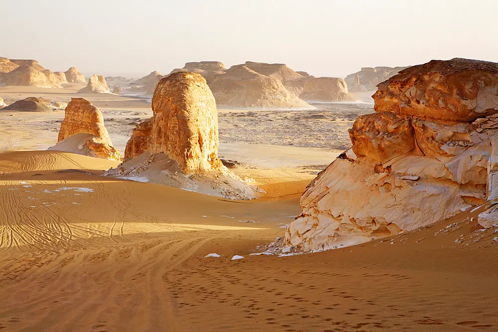 White Desert National Park
