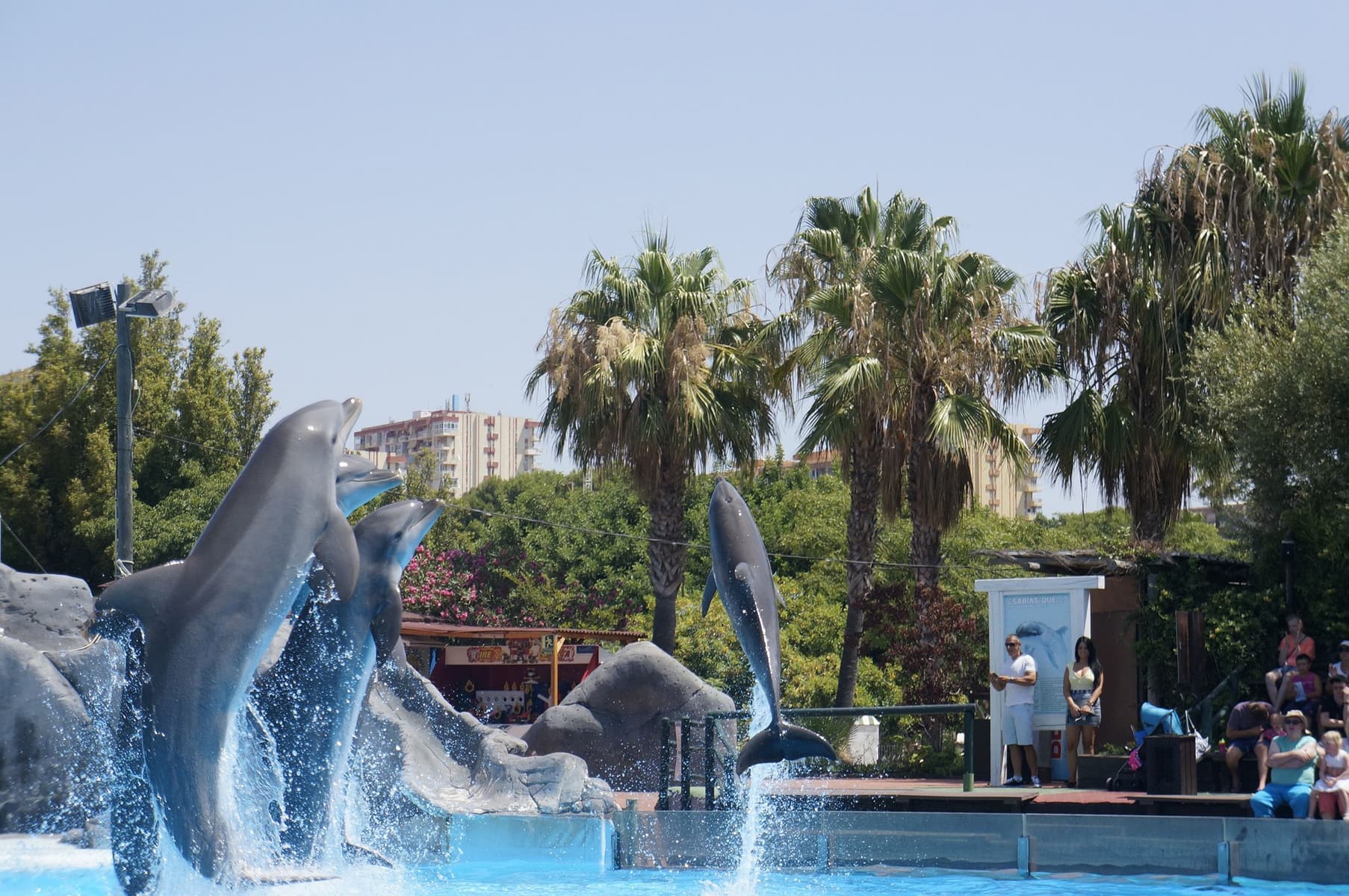 Experience 12 Things To Do In Malaga For A Remarkable Trip