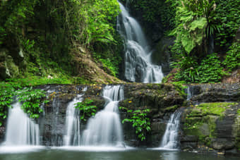 Lamington National Park