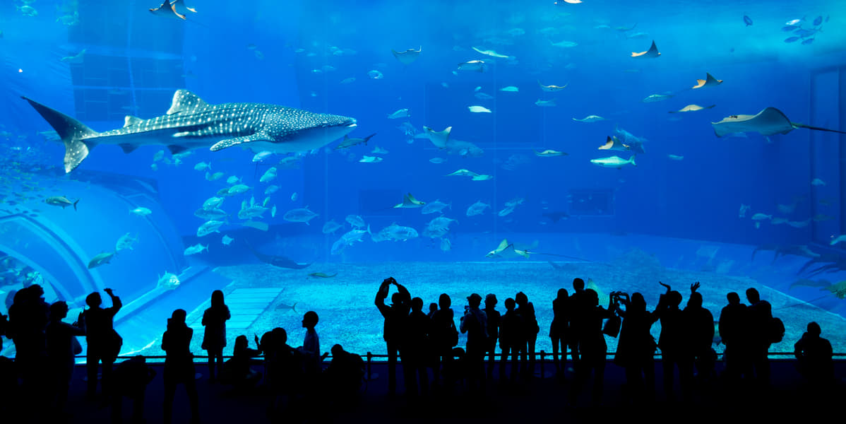 Lisbon Zoo Image