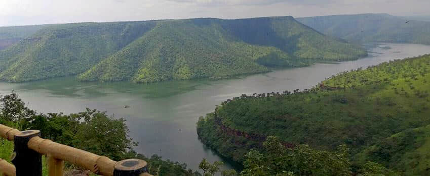 Octopus Viewpoint, <em>Srisailam</em>