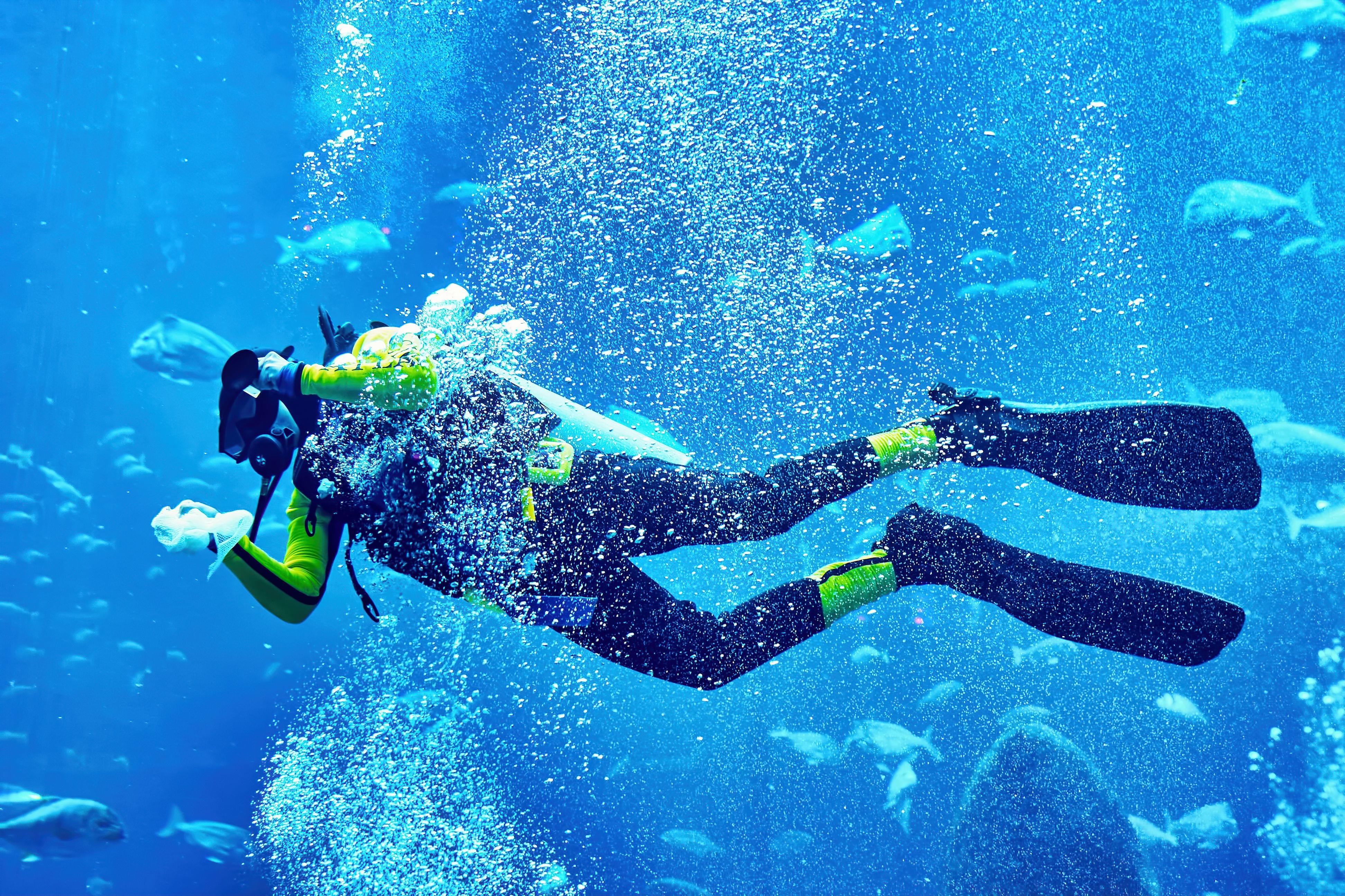 Scuba Diving In Dubai Guide Dive Into The Wonders Of Dubai