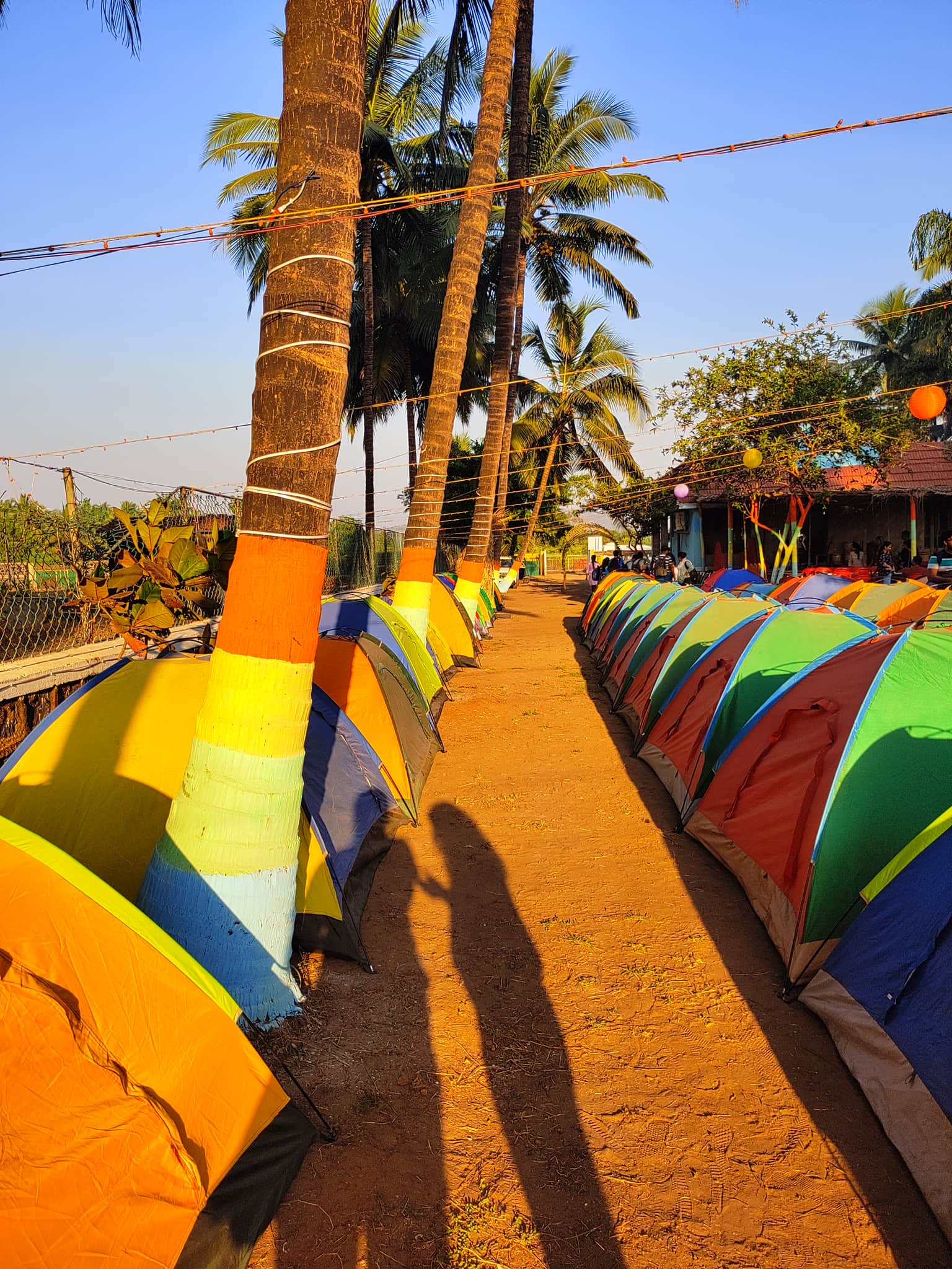 Photo from Ankita Dolas's trip
