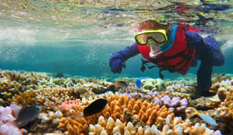 Australia - Gateway To The Great Barrier Reef