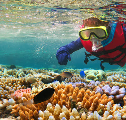 Australia - Gateway To The Great Barrier Reef