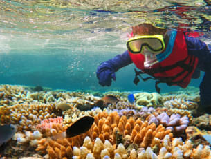 Australia - Gateway To The Great Barrier Reef
