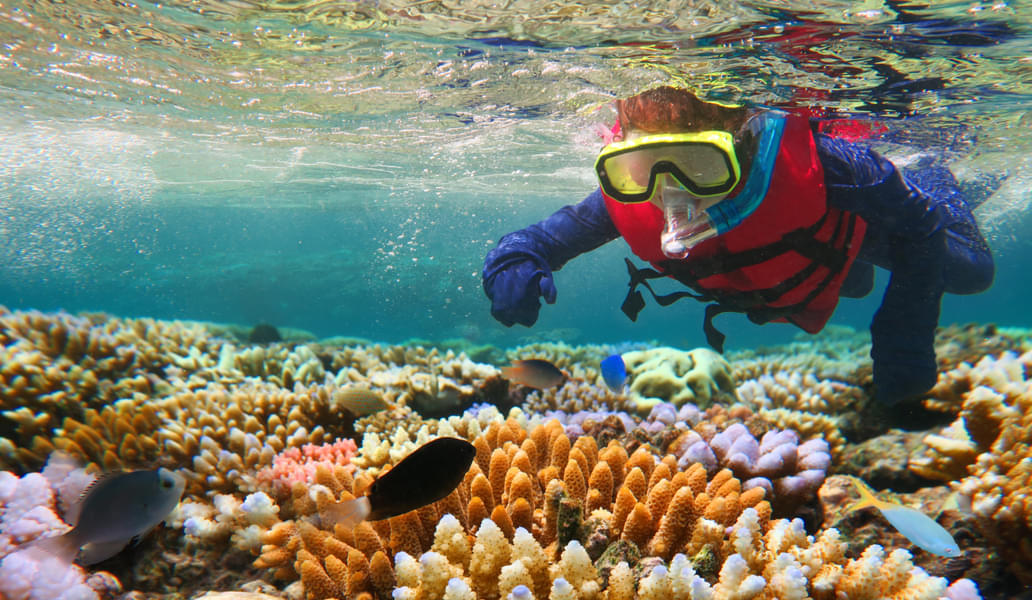 Australia - Gateway To The Great Barrier Reef Image