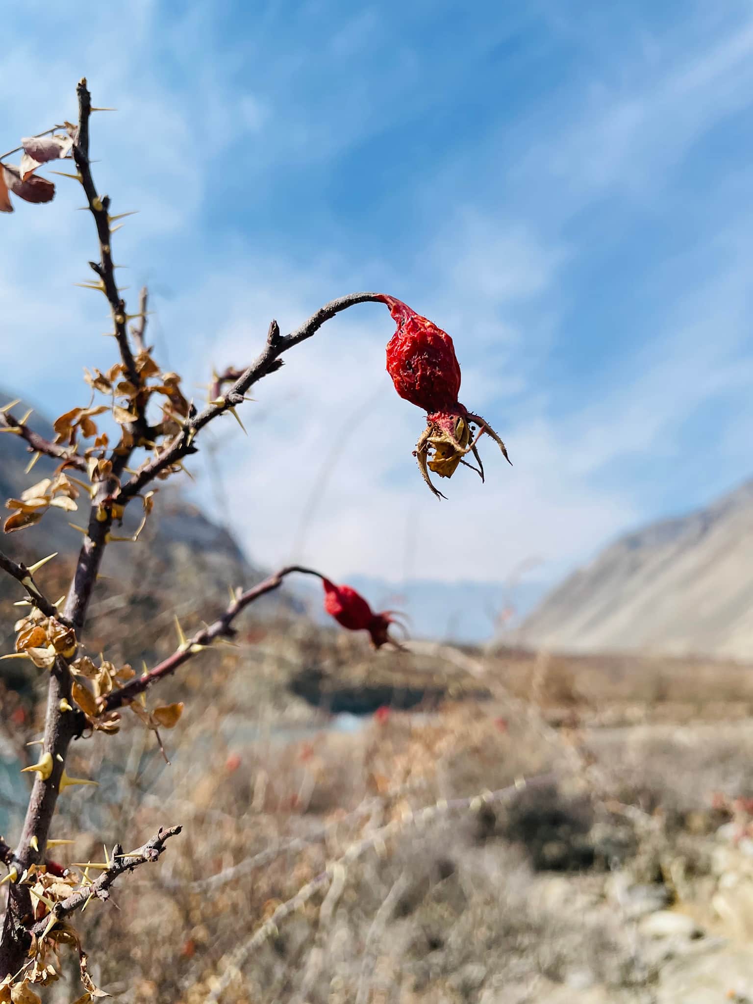 Photo from Yogesh Varma's trip
