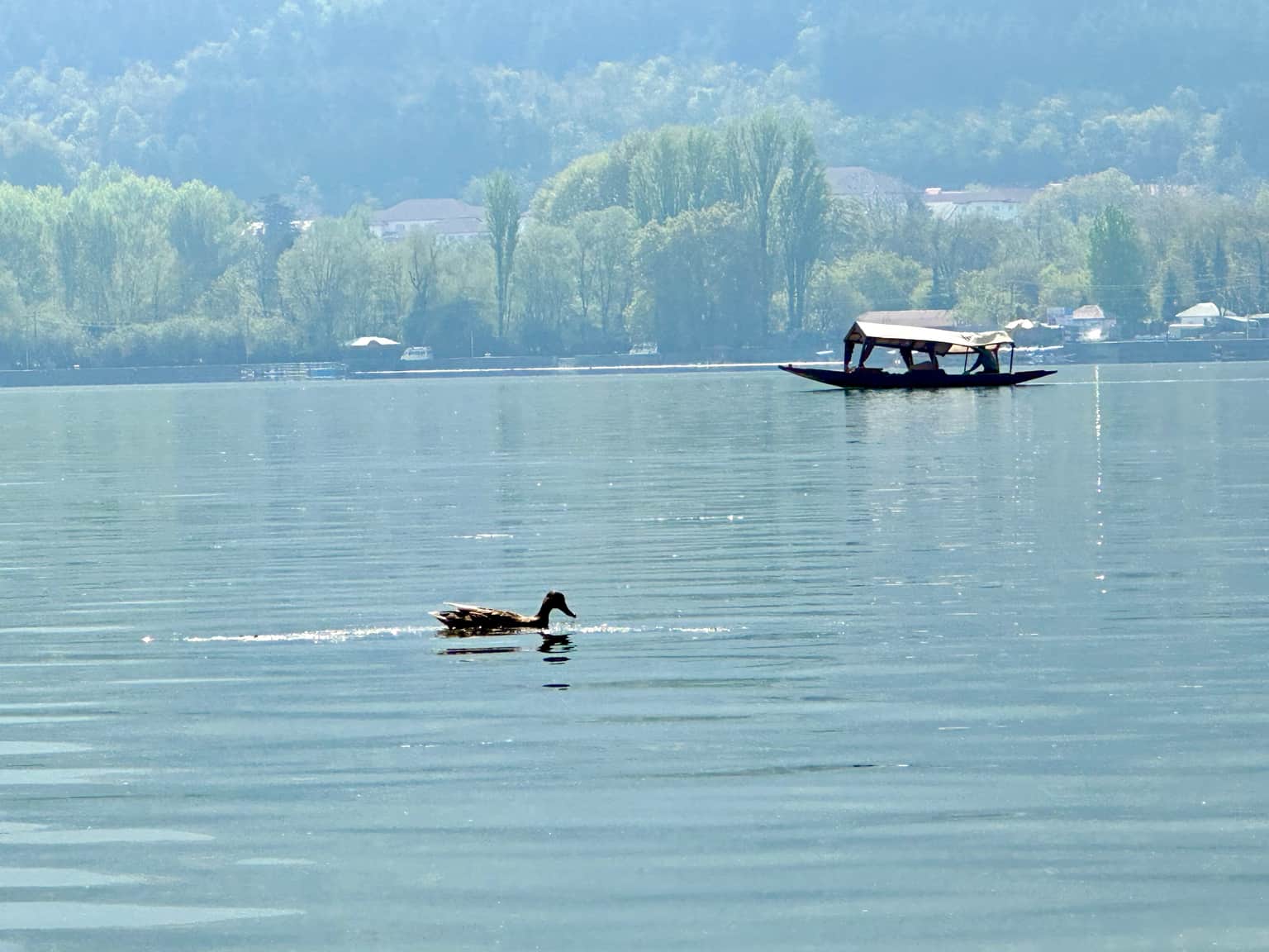 Photo from Asha Narayanan's trip