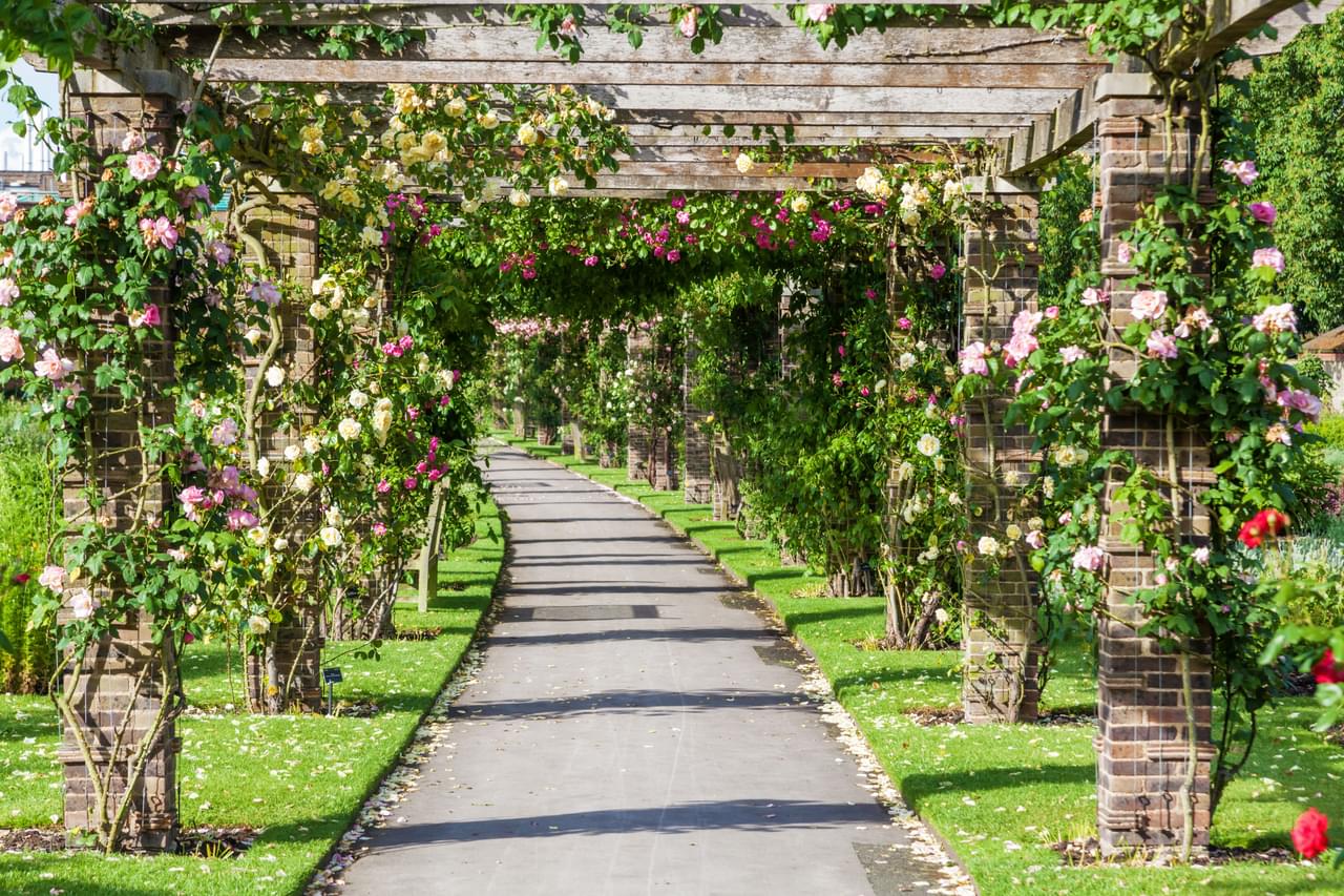 Inside The Kew Gardens