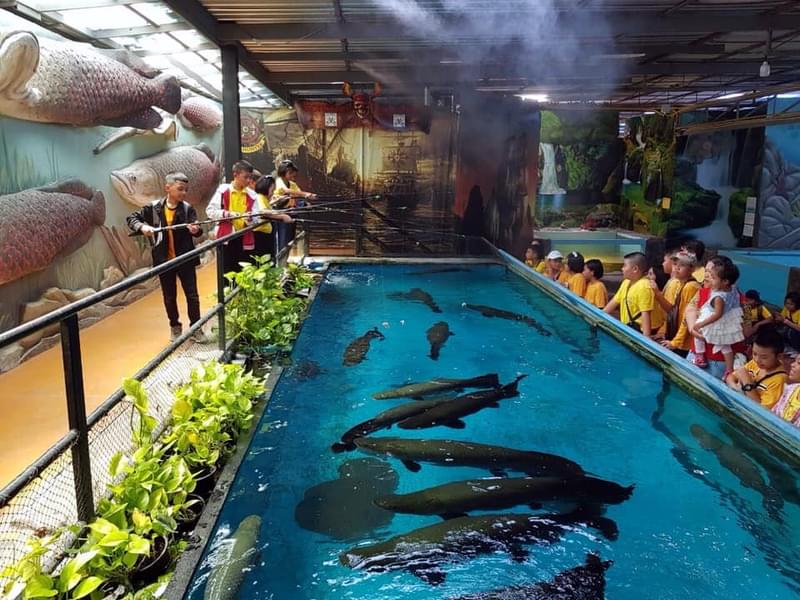 Closely admire the big fishes during the interactive sessions arranged at the aquarium