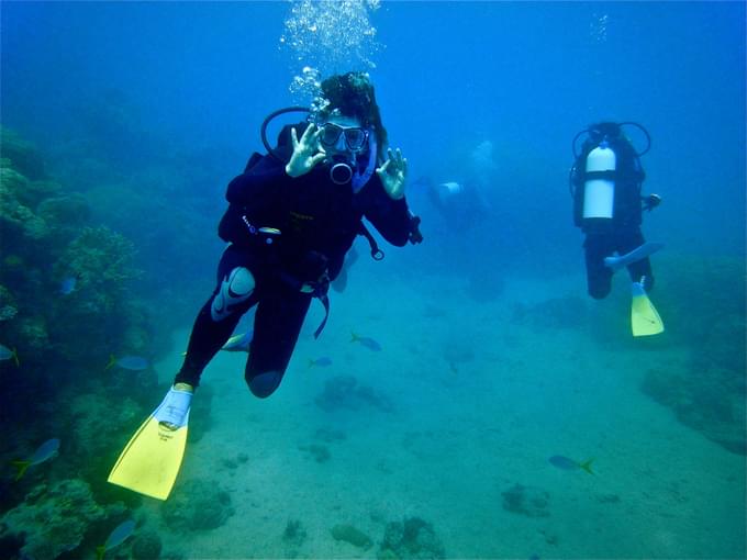 Great Barrier Reef Snorkeling