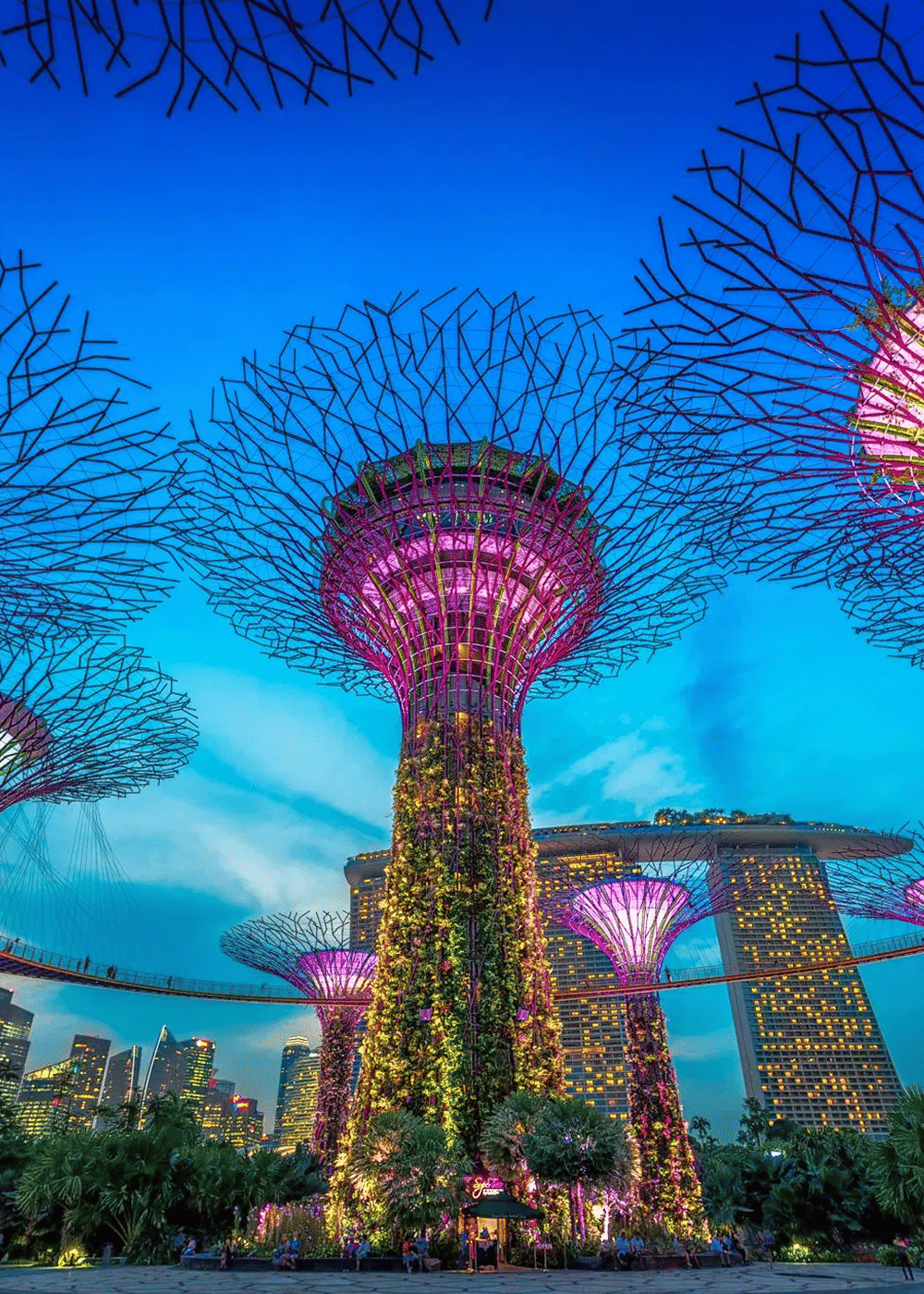 Gardens By The Bay, <em>Singapore</em>