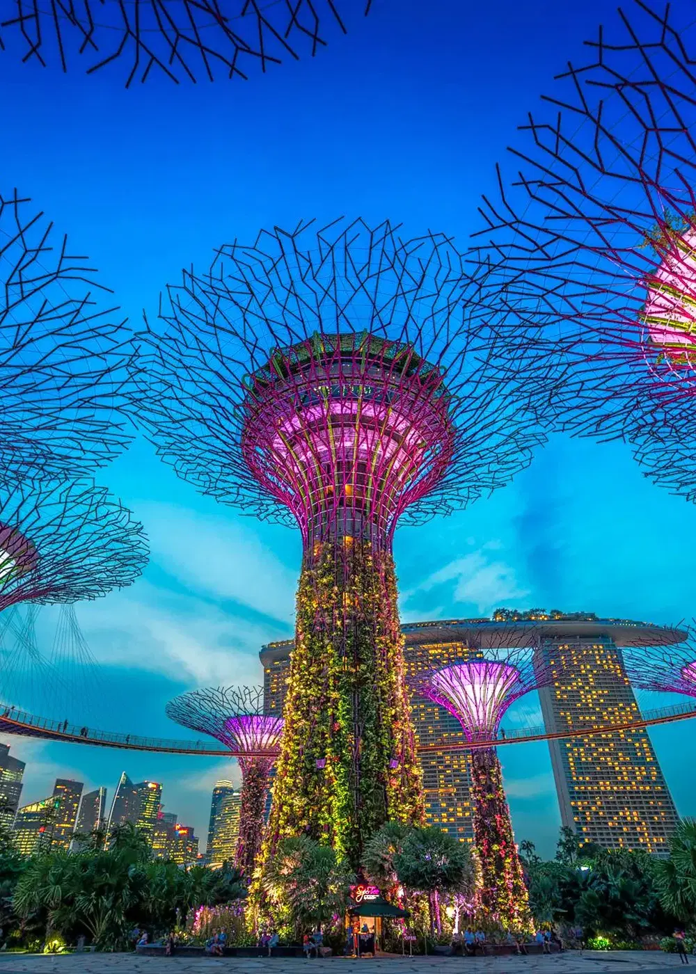 Gardens By The Bay