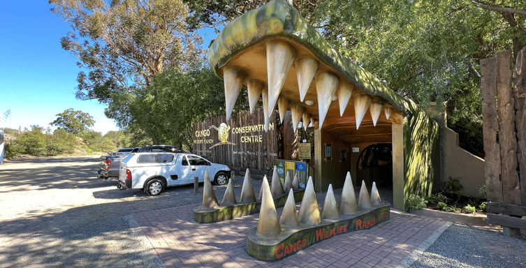 Cango Wildlife Ranch