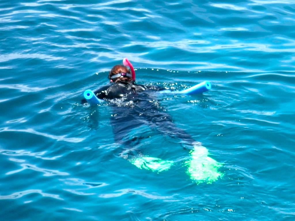 Snorkelling Adventure