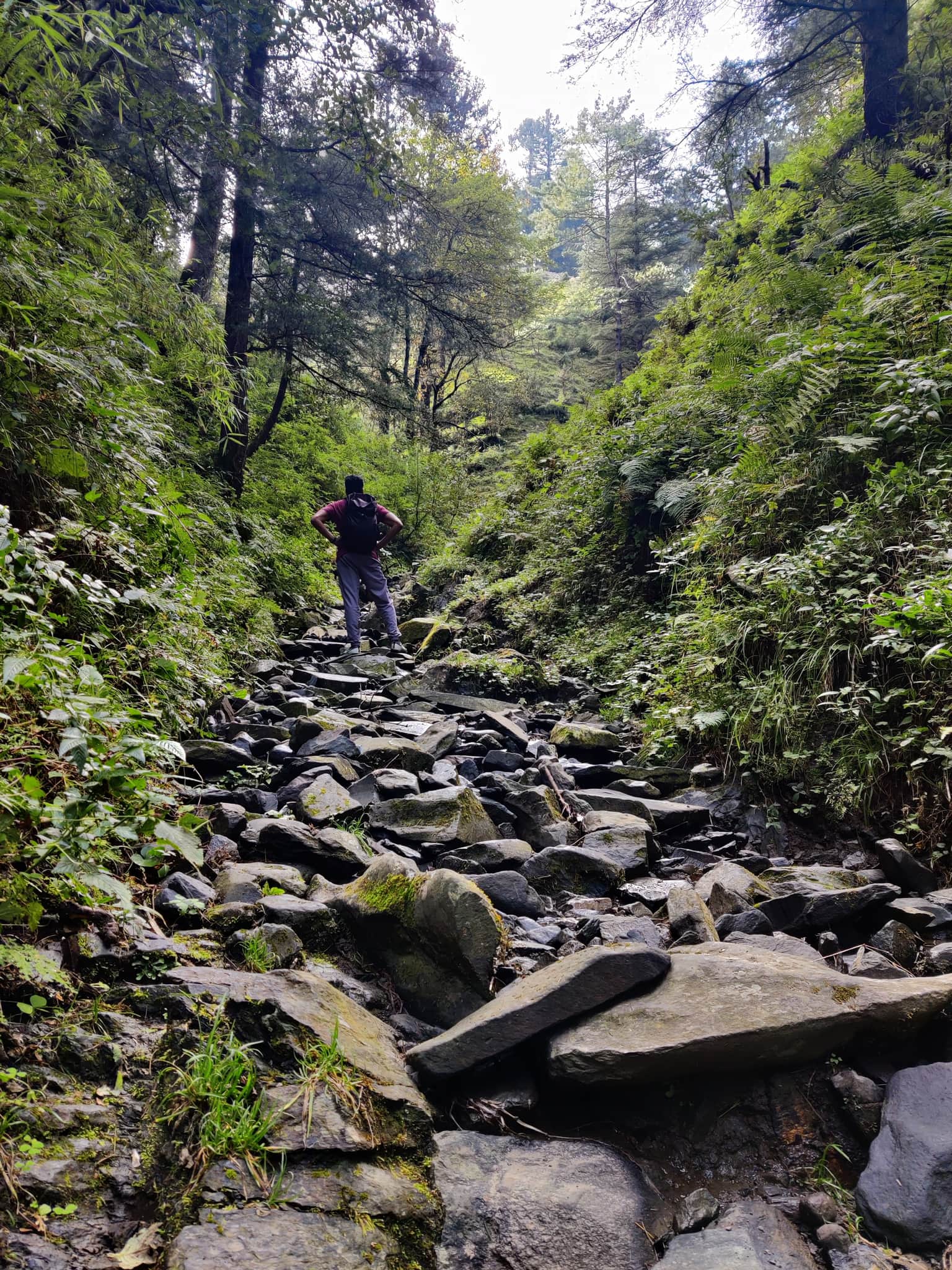 Photo from Saumya Jakhmola's trip