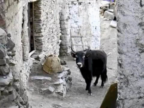 Photo from Bhushan Abbott's trip