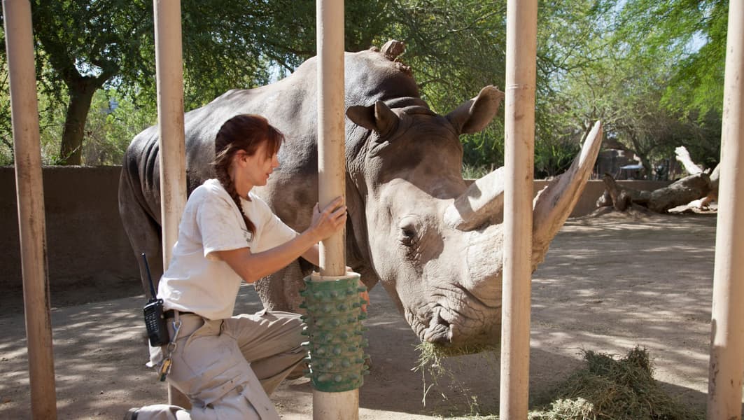 Phoenix Zoo Tickets Image