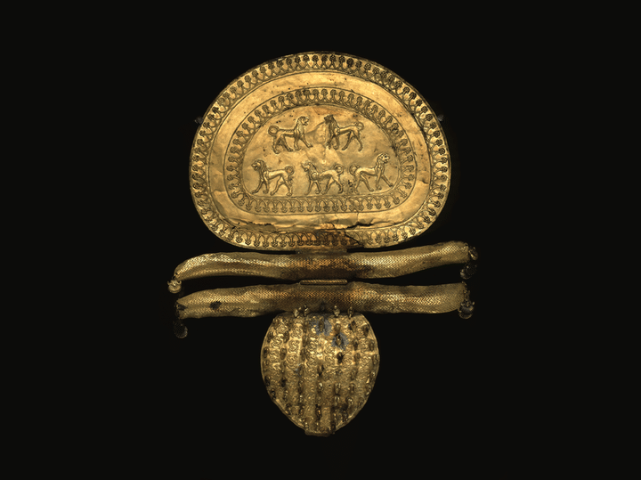 Coins and Medals in galleria lapidaria
