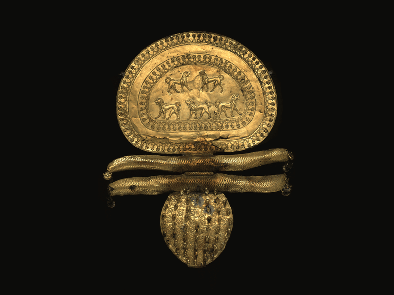 Coins and Medals in galleria lapidaria