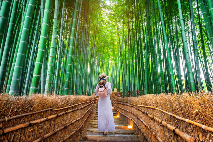 Explore the famous Arashiyama Forest, known for its towering bamboo trees