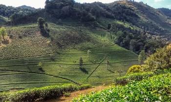 Ahsdexotq26nnappgn4c260p9roc 1550227318 periyar green bed breakfast