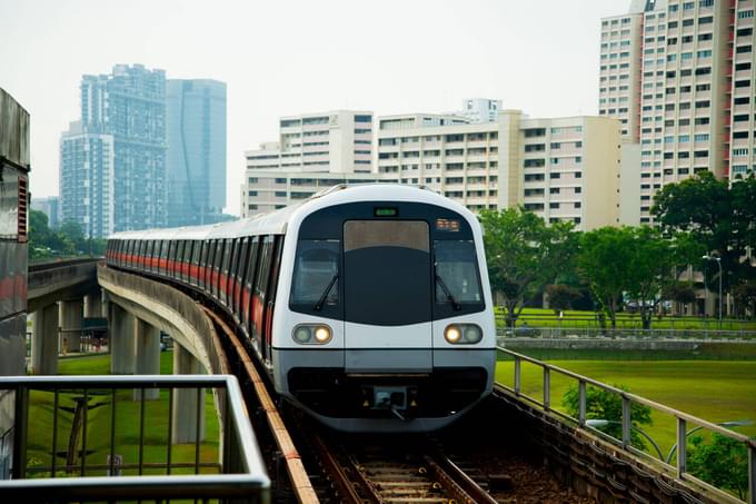 Reach Singapore Zoo by Metro