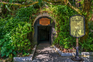 Debay Wine Cellar, Vietnam