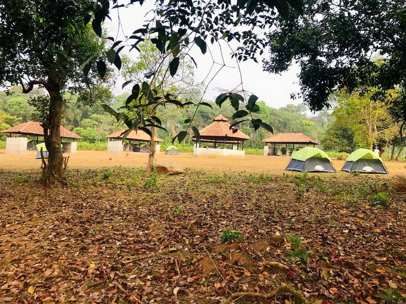 Nature Camping Experience In Coorg Image