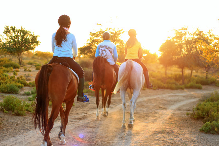 Horse Riding In Shimla Image