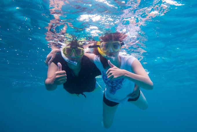 Great Barrier Reef Tours