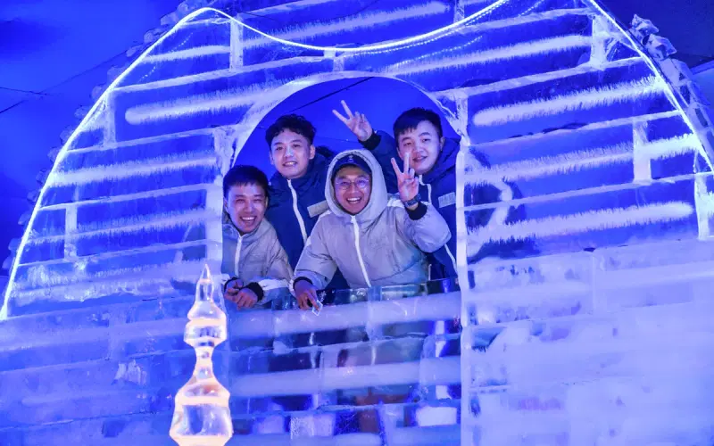 FROST Magical Ice of Siam 8