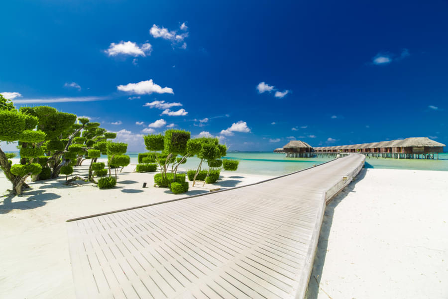 LUX South Ari Atoll Resort