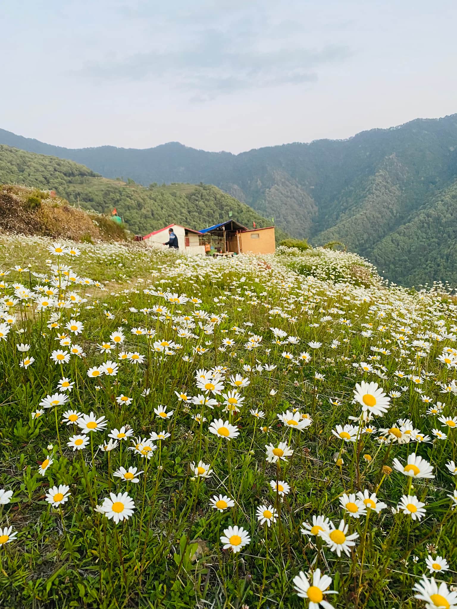Photo from Anshul  Mittal's trip