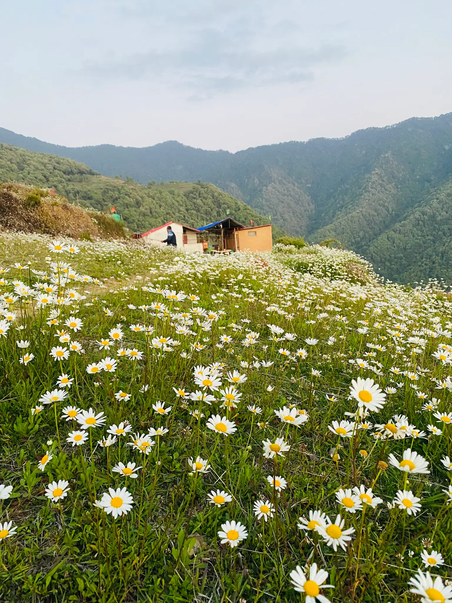 Photo from Anshul  Mittal's trip