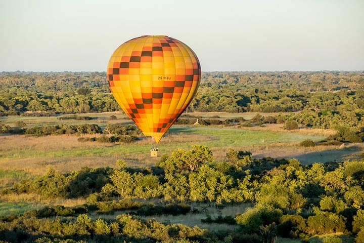 Hot-air Balloon Safari Over the Delta