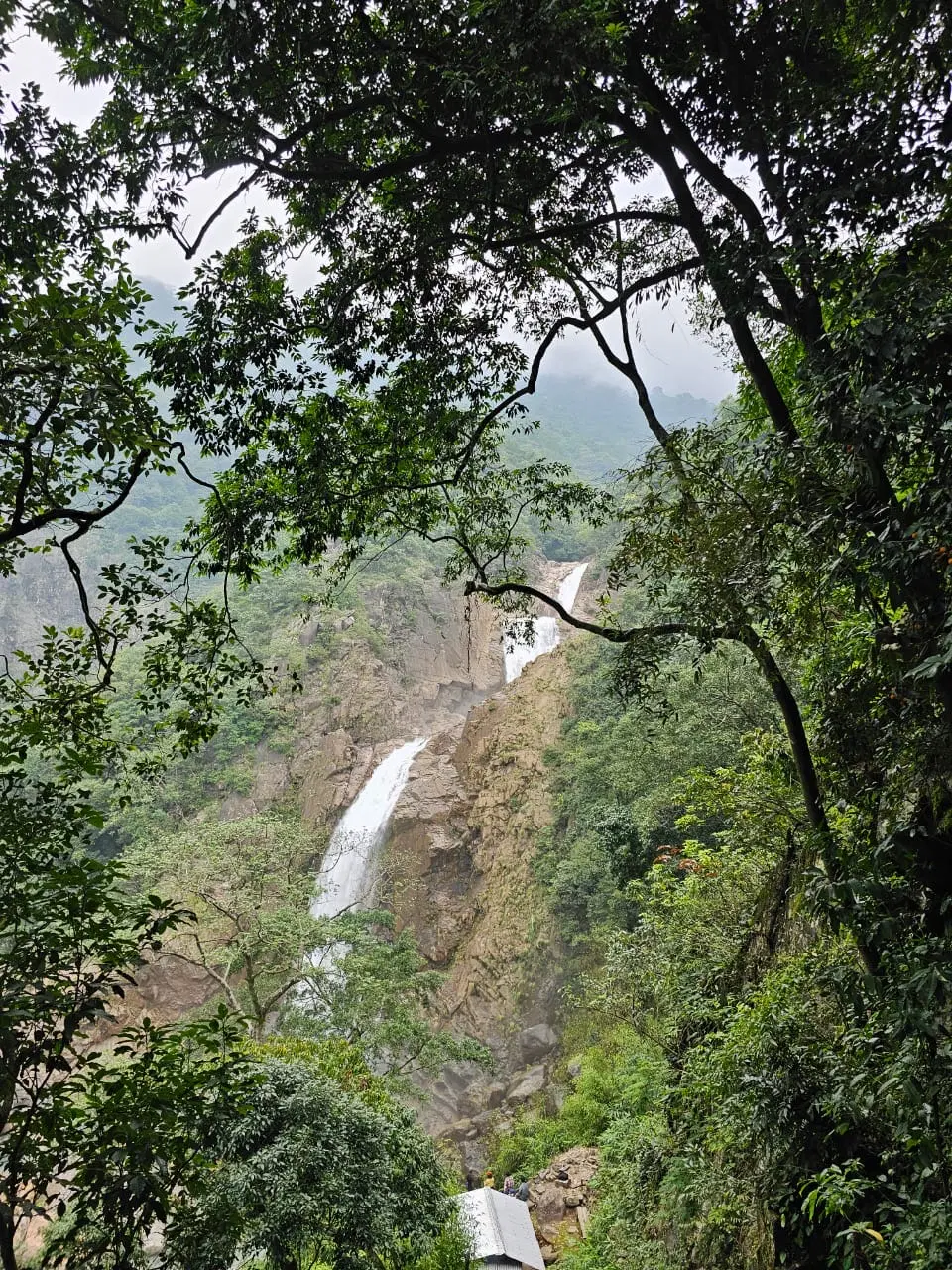 Photo from Ravi Gundher's trip